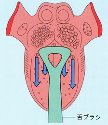 舌ブラシの動かし方