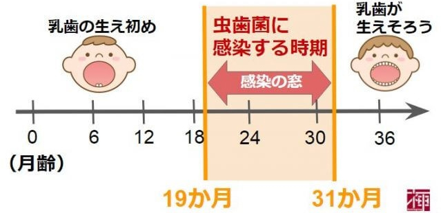 0歳からの虫歯予防