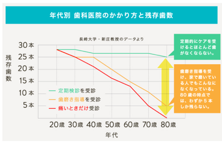 年代別 歯科医院のかかり方と残存歯数